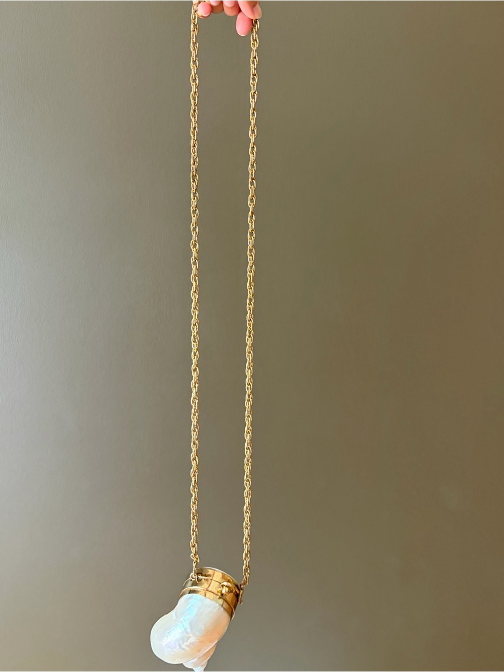 Gold and Cream Shell Clutch - Picture 16 of 16